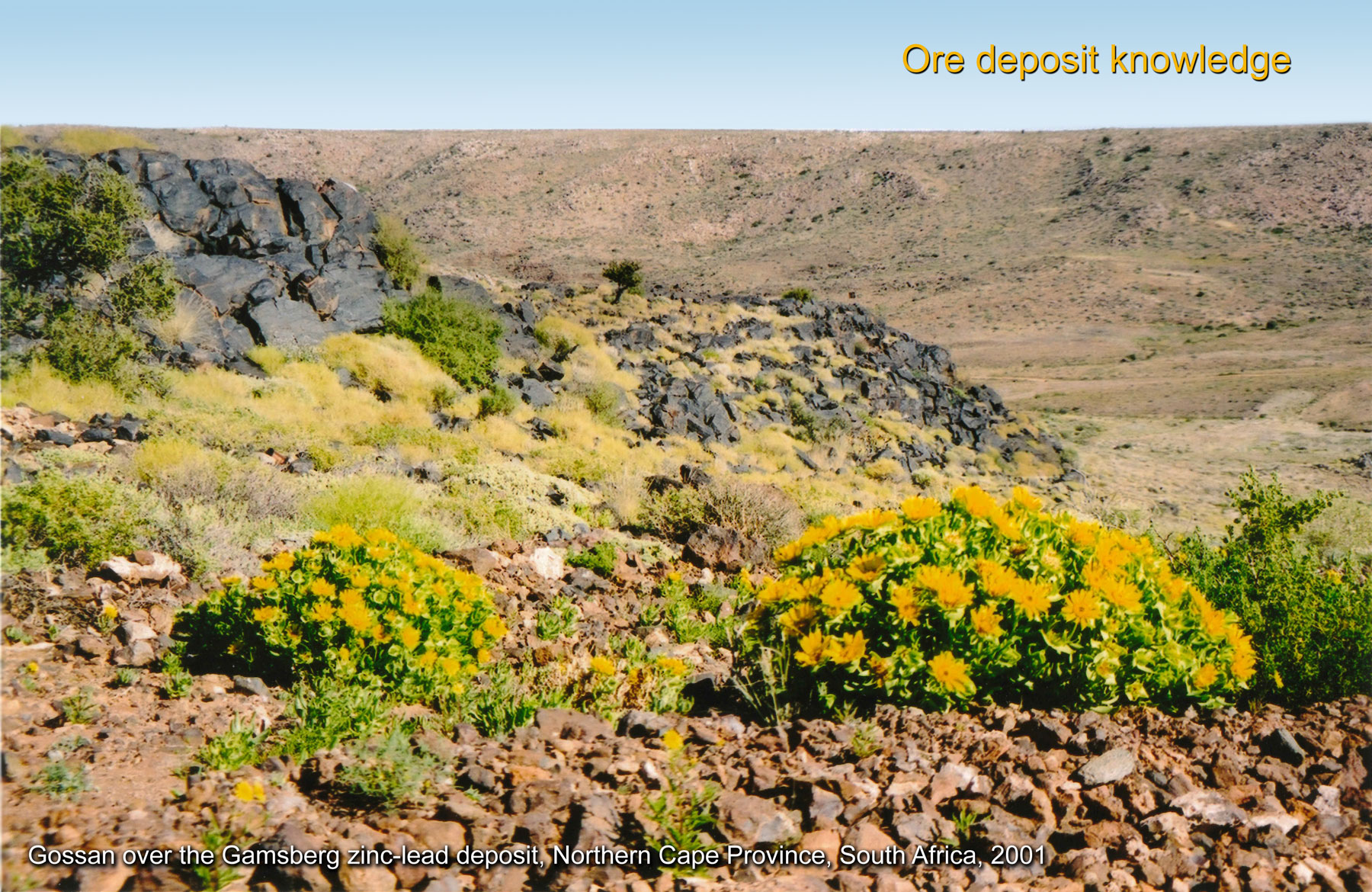 Ore deposit knowledge