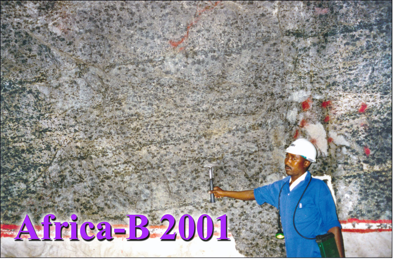 Bushveld layered anorthosite