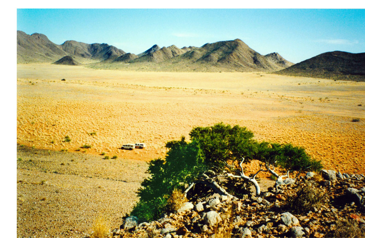 Northern Cape Field Scene