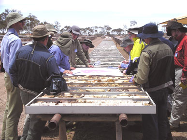 Olympic Dam Core Yard