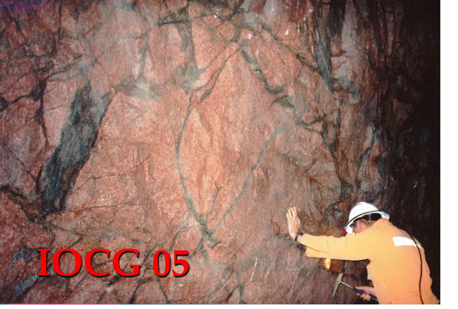 Brecciated Roxby Downs Granite